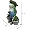 Frogs Garden Statue for Yards Succulent Flower Pots Resin Ornaments Garden Patio