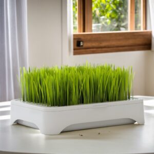 2024 Wheat Grass Reusable Growing Tray Design Hydroponic Sprouting Plate